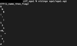 output of strings on the SGI