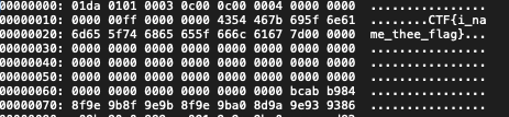 output of xxd on the SGI